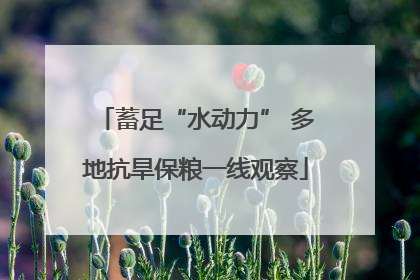 蓄足“水动力” 多地抗旱保粮一线观察