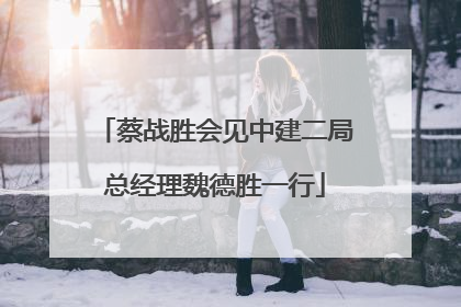 蔡战胜会见中建二局总经理魏德胜一行
