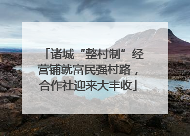 诸城“整村制”经营铺就富民强村路，合作社迎来大丰收