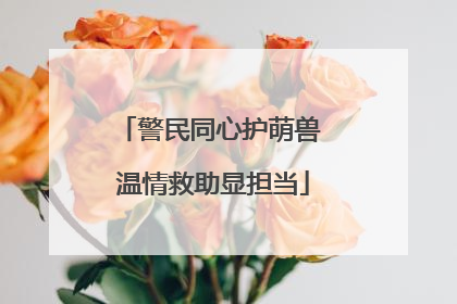 警民同心护萌兽 温情救助显担当