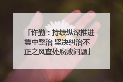 许勤：持续纵深推进集中整治 坚决纠治不正之风查处腐败问题