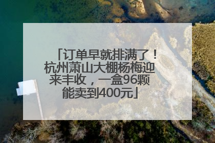 订单早就排满了！杭州萧山大棚杨梅迎来丰收，一盒96颗能卖到400元