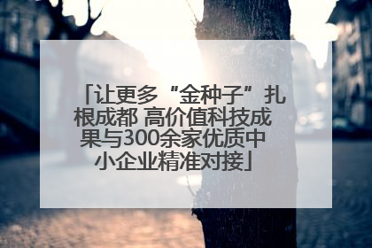 让更多“金种子”扎根成都 高价值科技成果与300余家优质中小企业精准对接