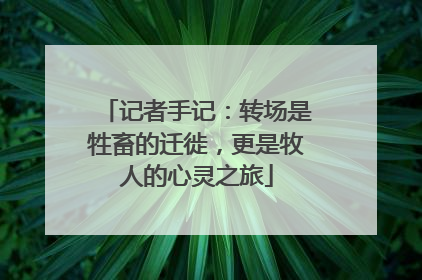 记者手记：转场是牲畜的迁徙，更是牧人的心灵之旅