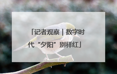 记者观察｜数字时代“夕阳”别样红