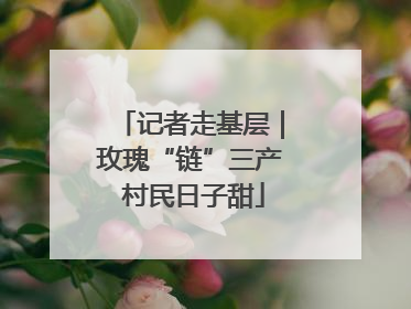 记者走基层｜玫瑰“链”三产 村民日子甜