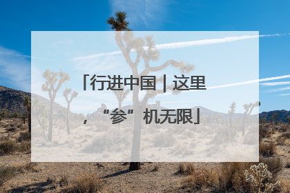 行进中国｜这里，“参”机无限
