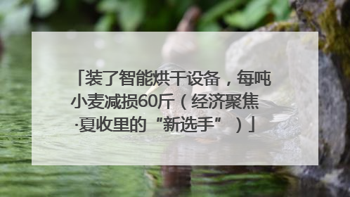 装了智能烘干设备，每吨小麦减损60斤（经济聚焦·夏收里的“新选手”）
