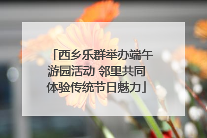 西乡乐群举办端午游园活动 邻里共同体验传统节日魅力