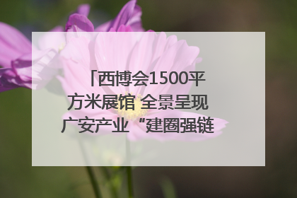 西博会1500平方米展馆 全景呈现广安产业“建圈强链”｜西博视界