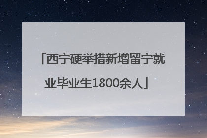 西宁硬举措新增留宁就业毕业生1800余人