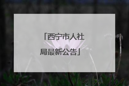 西宁市人社局最新公告