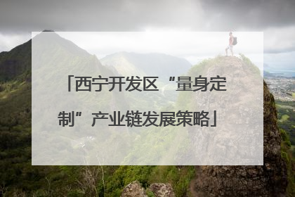 西宁开发区“量身定制”产业链发展策略