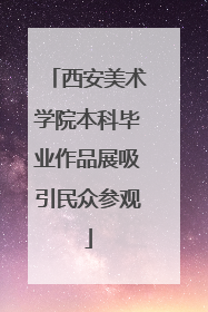 西安美术学院本科毕业作品展吸引民众参观