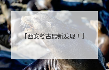 西安考古最新发现！