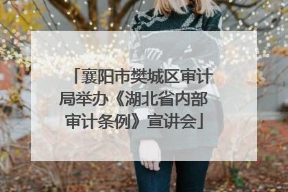襄阳市樊城区审计局举办《湖北省内部审计条例》宣讲会