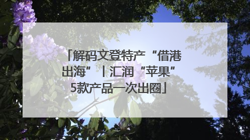 解码文登特产“借港出海”丨汇润“苹果”5款产品一次出圈