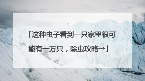 这种虫子看到一只家里很可能有一万只，除虫攻略→