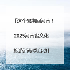这个暑期回河南！2025河南省文化旅游消费季启动