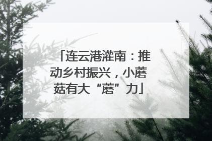 连云港灌南：推动乡村振兴，小蘑菇有大“蘑”力