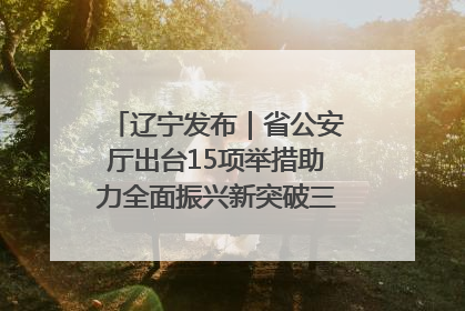 辽宁发布｜省公安厅出台15项举措助力全面振兴新突破三年行动决胜之战