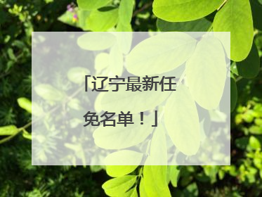 辽宁最新任免名单！