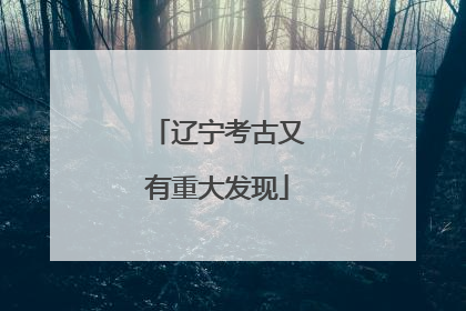 辽宁考古又有重大发现