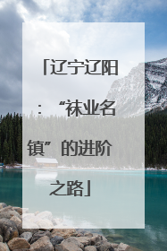 辽宁辽阳：“袜业名镇”的进阶之路