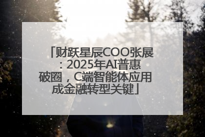 财跃星辰COO张展：2025年AI普惠破圈，C端智能体应用成金融转型关键