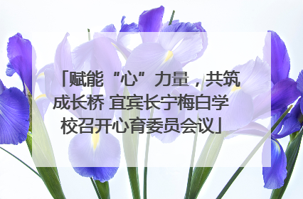 赋能“心”力量，共筑成长桥 宜宾长宁梅白学校召开心育委员会议