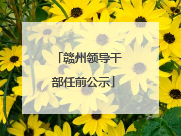 赣州领导干部任前公示