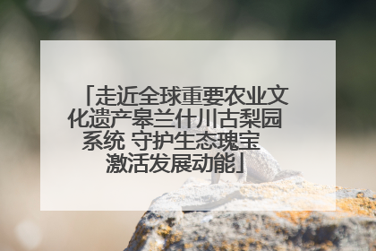 走近全球重要农业文化遗产皋兰什川古梨园系统 守护生态瑰宝 激活发展动能