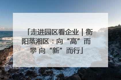走进园区看企业｜衡阳蒸湘区：向“高”而攀 向“新”而行