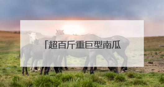 超百斤重巨型南瓜、维生素含量更高的辣椒……“太空味道”在航天育种试验田里拔节生长
