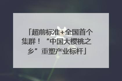 超前标准+全国首个集群！“中国大樱桃之乡”重塑产业标杆