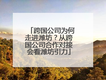 跨国公司为何走进潍坊？从跨国公司合作对接会看潍坊引力