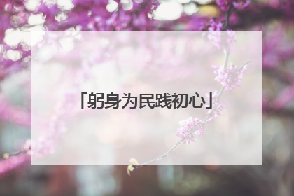 躬身为民践初心