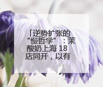 逆势扩张的 “慢哲学”：茉酸奶上海 18 店同开，以有机品质撕开内卷红海