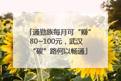 通勤族每月可“赚”80~100元，武汉“碳”路何以畅通