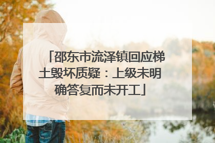 邵东市流泽镇回应梯土毁坏质疑：上级未明确答复而未开工