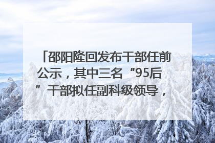 邵阳隆回发布干部任前公示，其中三名“95后”干部拟任副科级领导，均系硕士选调生
