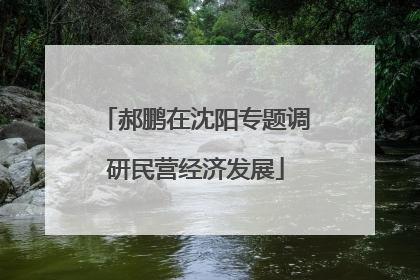 郝鹏在沈阳专题调研民营经济发展