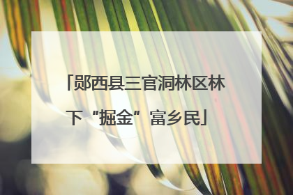 郧西县三官洞林区林下“掘金”富乡民