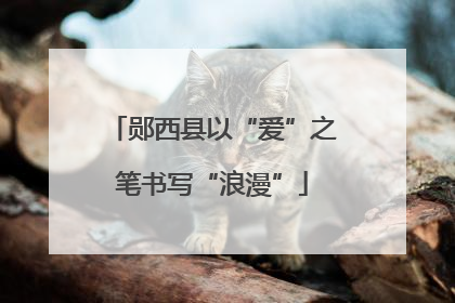 郧西县以“爱”之笔书写“浪漫”