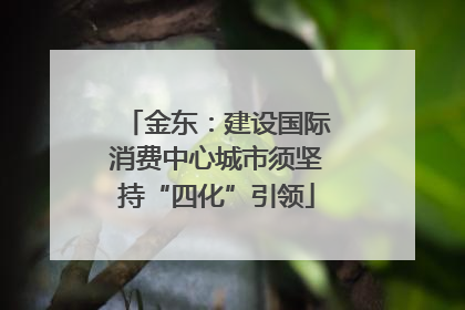 金东：建设国际消费中心城市须坚持“四化”引领