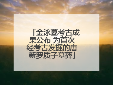 金泳墓考古成果公布 为首次经考古发掘的唐新罗质子墓葬
