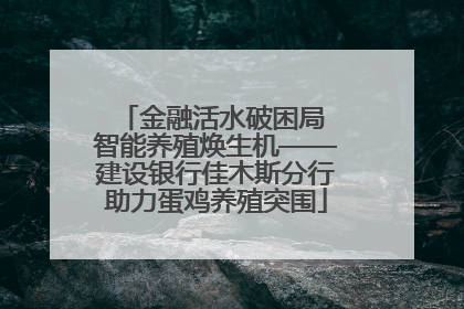 金融活水破困局 智能养殖焕生机——建设银行佳木斯分行助力蛋鸡养殖突围