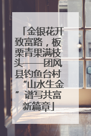 金银花开致富路，板栗青果满枝头——团风县钓鱼台村“山水生金”谱写共富新篇章