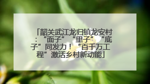 韶关武江龙归镇龙安村：“面子”“里子”“底子”同发力！“百千万工程”激活乡村新动能