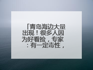 青岛海边大量出现！很多人因为好看捡，专家：有一定毒性，不建议手碰